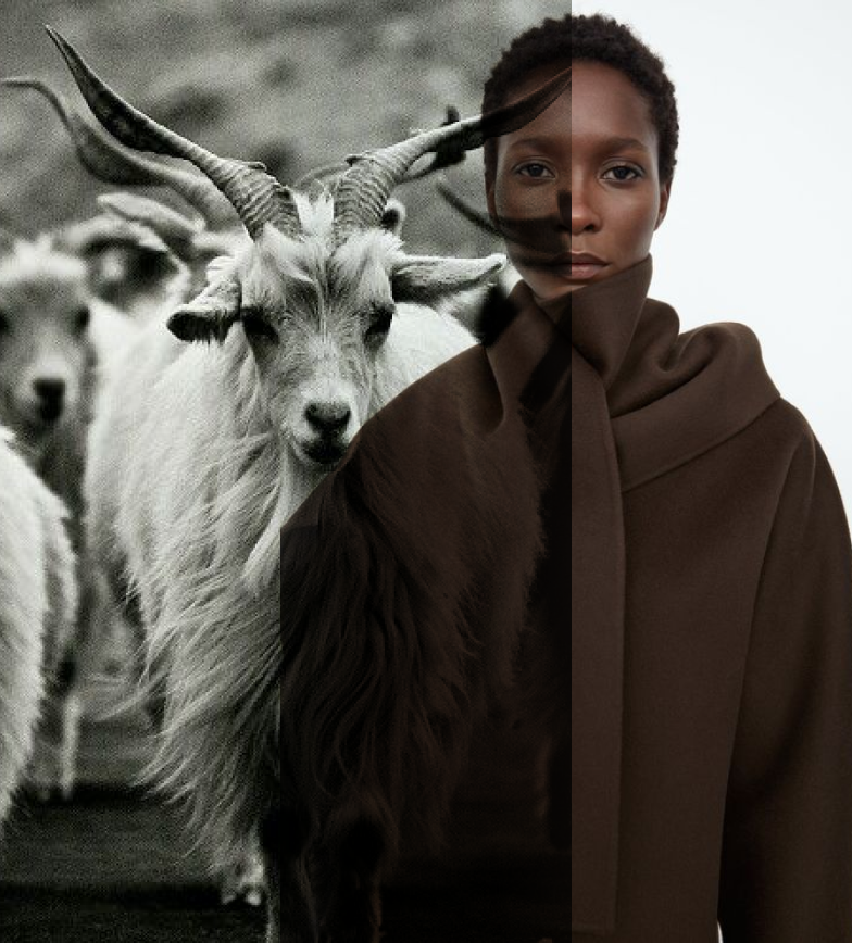 Cashmere