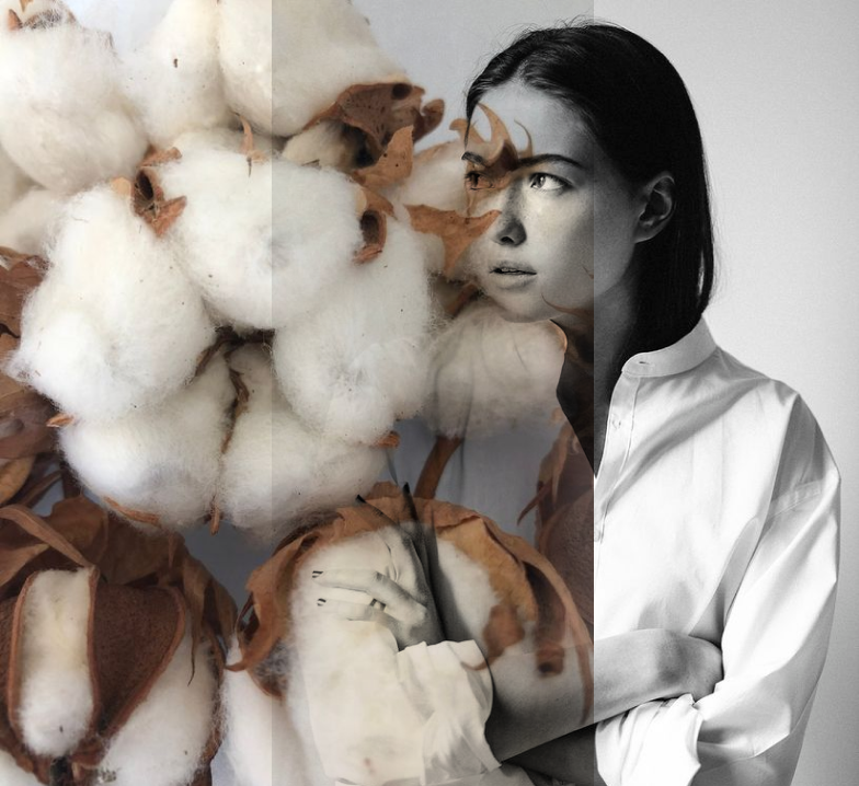 Cotton
