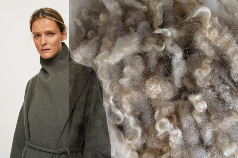 Wool